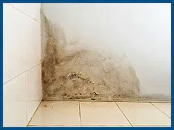 Pompano Beach Restoration Expert Pompano Beach, FL 561-257-3332