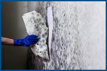 Pompano Beach Restoration Expert Pompano Beach, FL 561-257-3332 - serv-cont-wgr-28