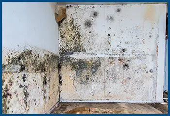 Pompano Beach Restoration Expert Pompano Beach, FL 561-257-3332 - serv-mold-wgr-28