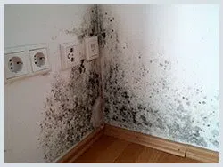 Pompano Beach Restoration Expert Pompano Beach, FL 561-257-3332